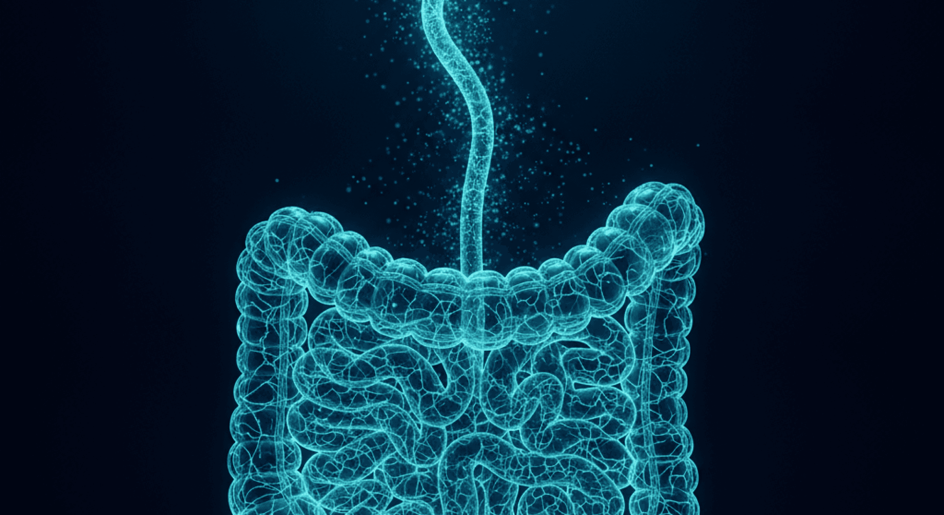 Vagus Nerve Stimulation for Irritable Bowel Syndrome: What the Evidence Shows